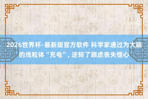 2026世界杯-最新版官方软件 科学家通过为大脑的线粒体“充电”， 逆转了顾虑丧失惬心