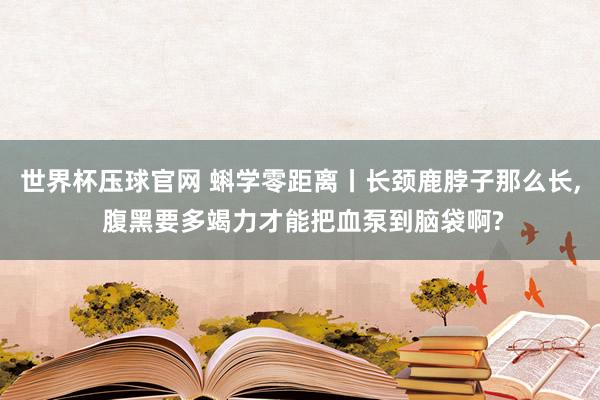世界杯压球官网 蝌学零距离丨长颈鹿脖子那么长， 腹黑要多竭力才能把血泵到脑袋啊?