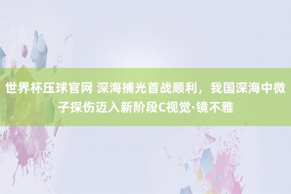 世界杯压球官网 深海捕光首战顺利，我国深海中微子探伤迈入新阶段C视觉·镜不雅