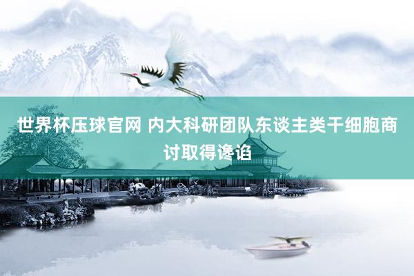 世界杯压球官网 内大科研团队东谈主类干细胞商讨取得谗谄
