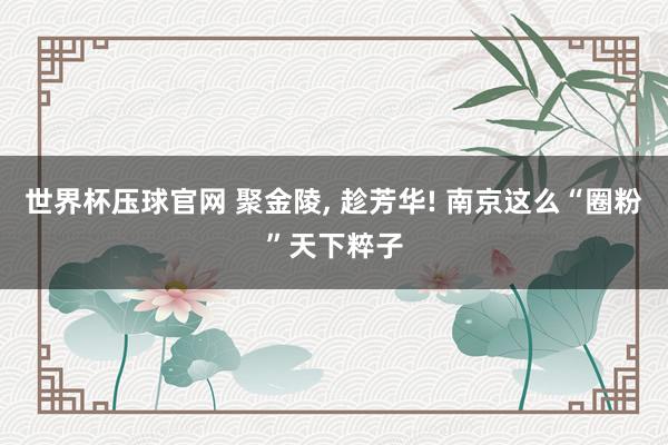 世界杯压球官网 聚金陵， 趁芳华! 南京这么“圈粉”天下粹子