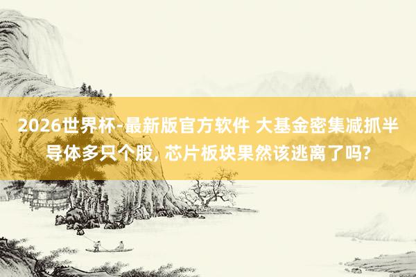 2026世界杯-最新版官方软件 大基金密集减抓半导体多只个股， 芯片板块果然该逃离了吗?