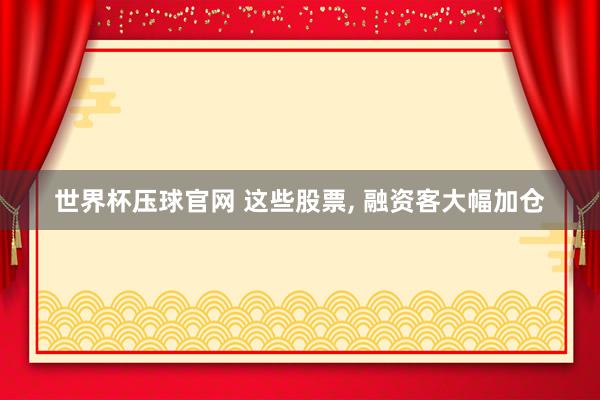 世界杯压球官网 这些股票， 融资客大幅加仓