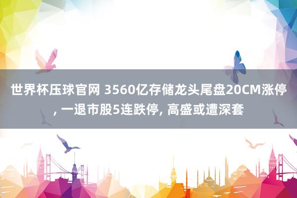 世界杯压球官网 3560亿存储龙头尾盘20CM涨停， 一退市股5连跌停， 高盛或遭深套