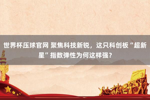 世界杯压球官网 聚焦科技新锐，这只科创板“超新星”指数弹性为何这样强？