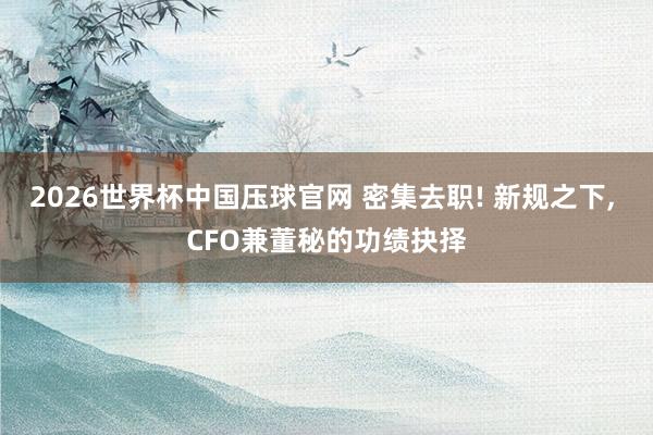 2026世界杯中国压球官网 密集去职! 新规之下， CFO兼董秘的功绩抉择