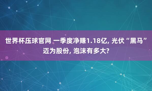 世界杯压球官网 一季度净赚1.18亿， 光伏“黑马”迈为股份， 泡沫有多大?