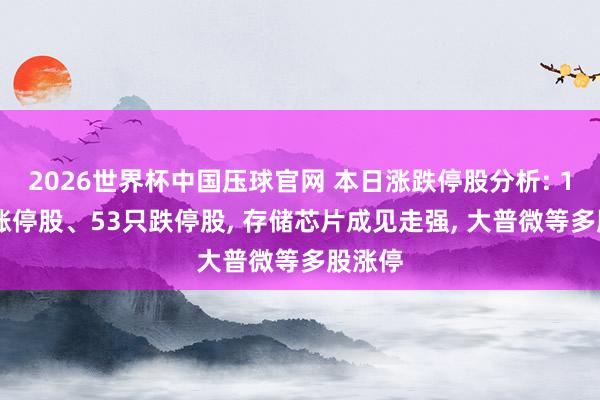 2026世界杯中国压球官网 本日涨跌停股分析: 102只涨停股、53只跌停股， 存储芯片成见走强， 大普微等多股涨停