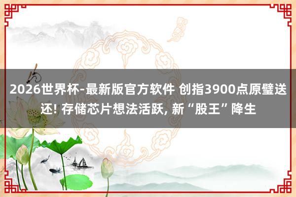 2026世界杯-最新版官方软件 创指3900点原璧送还! 存储芯片想法活跃， 新“股王”降生