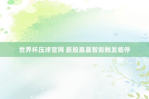 世界杯压球官网 新股嘉晨智能触发临停