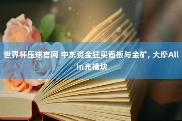 世界杯压球官网 中东资金狂买面板与金矿， 大摩All in光模块