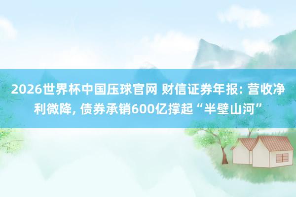 2026世界杯中国压球官网 财信证券年报: 营收净利微降， 债券承销600亿撑起“半壁山河”