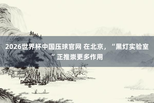 2026世界杯中国压球官网 在北京，“黑灯实验室”正推崇更多作用