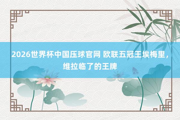 2026世界杯中国压球官网 欧联五冠王埃梅里，维拉临了的王牌