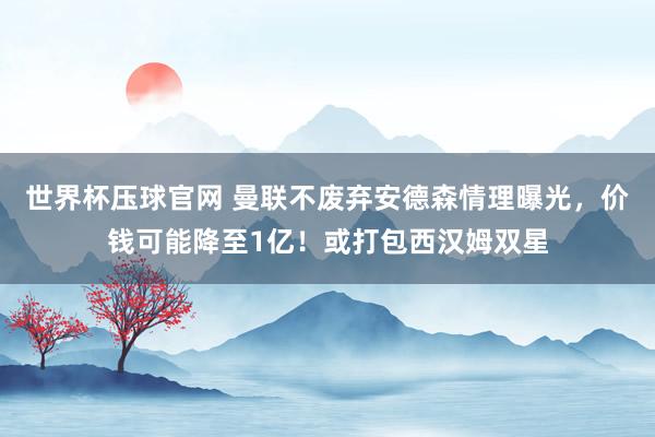 世界杯压球官网 曼联不废弃安德森情理曝光，价钱可能降至1亿！或打包西汉姆双星