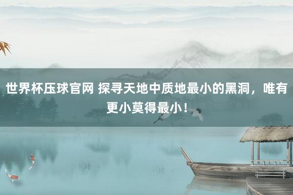 世界杯压球官网 探寻天地中质地最小的黑洞，唯有更小莫得最小！