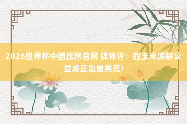 2026世界杯中国压球官网 媒体评：甜玉米深耕公益成正能量典范！