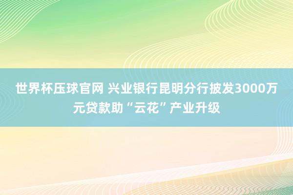 世界杯压球官网 兴业银行昆明分行披发3000万元贷款助“云花”产业升级