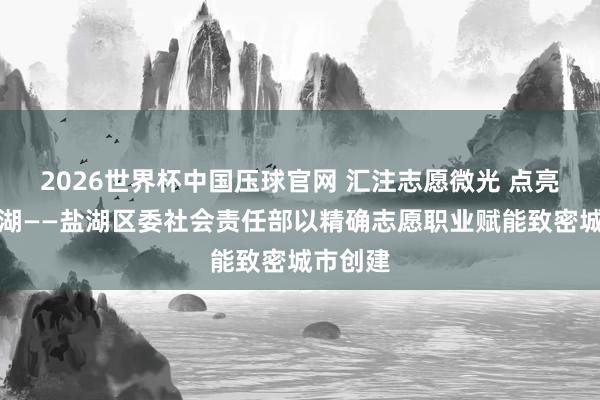 2026世界杯中国压球官网 汇注志愿微光 点亮致密盐湖——盐湖区委社会责任部以精确志愿职业赋能致密城市创建