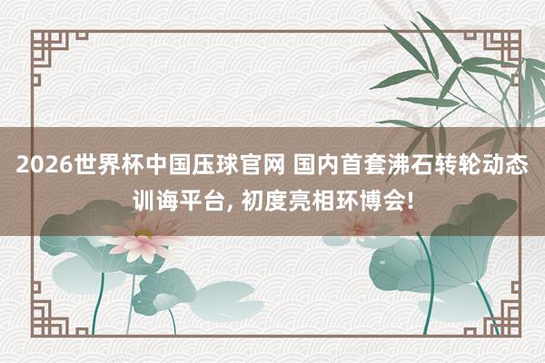 2026世界杯中国压球官网 国内首套沸石转轮动态训诲平台， 初度亮相环博会!