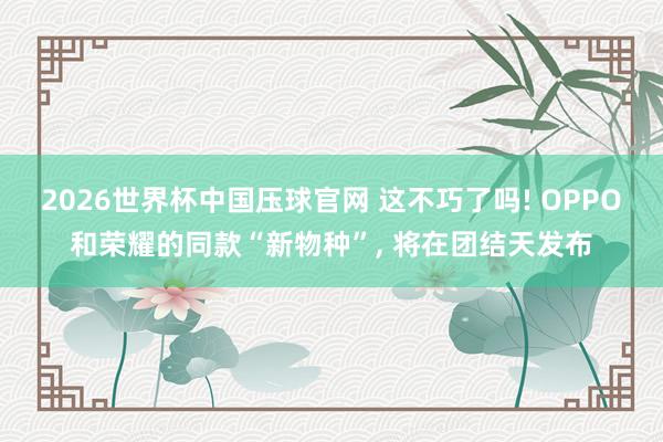 2026世界杯中国压球官网 这不巧了吗! OPPO和荣耀的同款“新物种”， 将在团结天发布
