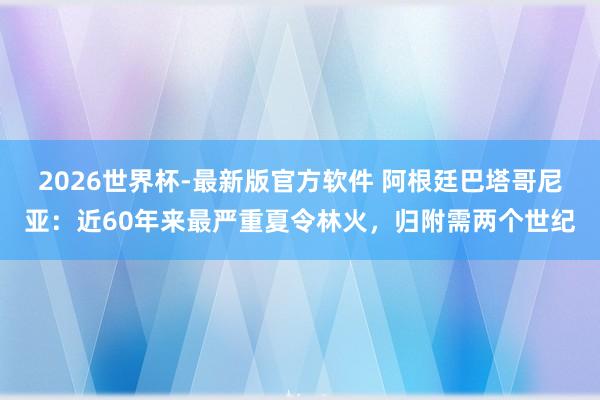 2026世界杯-最新版官方软件 阿根廷巴塔哥尼亚：近60年来最严重夏令林火，归附需两个世纪