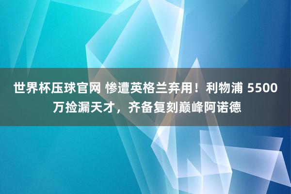 世界杯压球官网 惨遭英格兰弃用！利物浦 5500 万捡漏天才，齐备复刻巅峰阿诺德