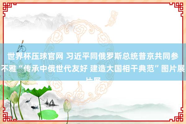 世界杯压球官网 习近平同俄罗斯总统普京共同参不雅“传承中俄世代友好 建造大国相干典范”图片展