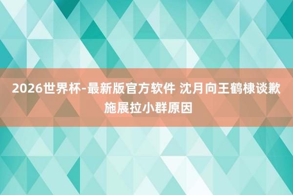 2026世界杯-最新版官方软件 沈月向王鹤棣谈歉 施展拉小群原因