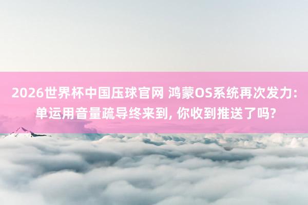 2026世界杯中国压球官网 鸿蒙OS系统再次发力: 单运用音量疏导终来到， 你收到推送了吗?