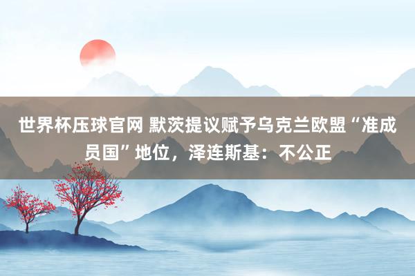 世界杯压球官网 默茨提议赋予乌克兰欧盟“准成员国”地位，泽连斯基：不公正