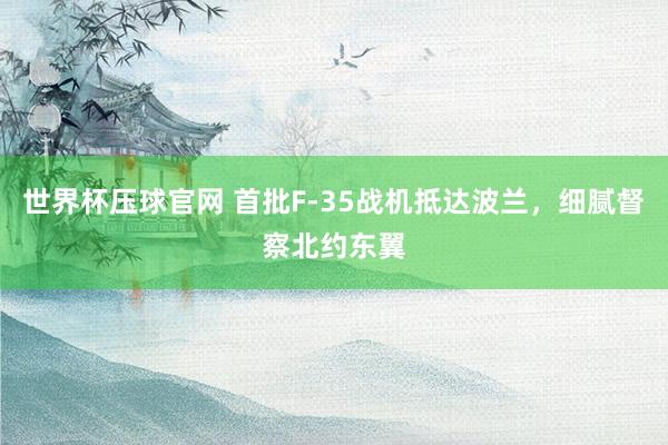 世界杯压球官网 首批F-35战机抵达波兰，细腻督察北约东翼