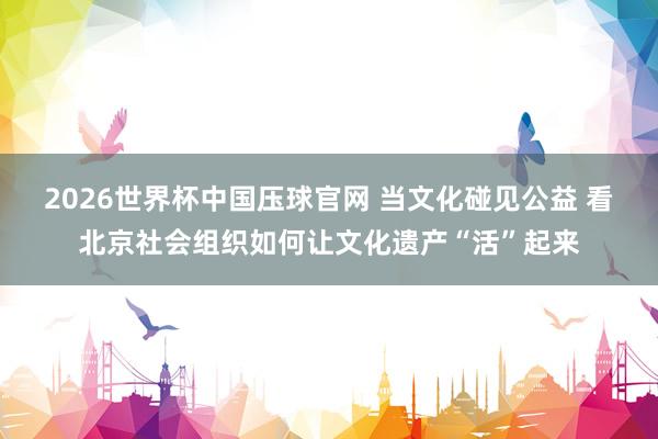 2026世界杯中国压球官网 当文化碰见公益 看北京社会组织如何让文化遗产“活”起来