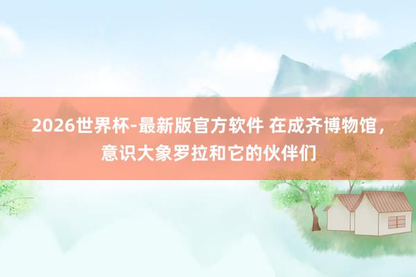 2026世界杯-最新版官方软件 在成齐博物馆，意识大象罗拉和它的