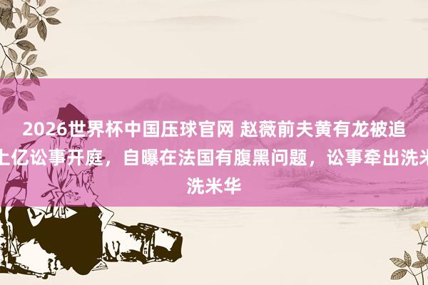 2026世界杯中国压球官网 赵薇前夫黄有龙被追债上亿讼事开庭，自曝在法国有腹黑问题，讼事牵出洗米华