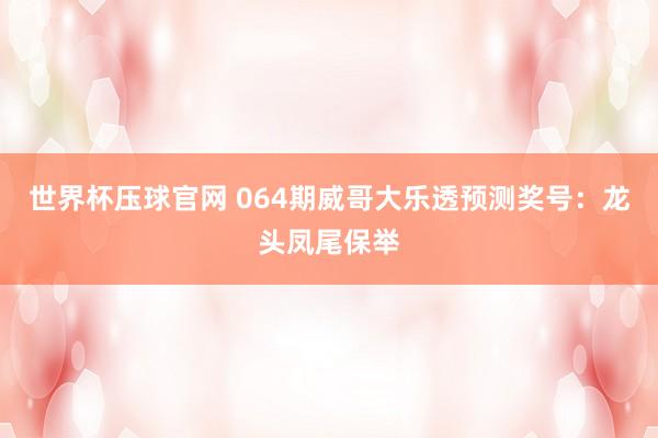 世界杯压球官网 064期威哥大乐透预测奖号：龙头凤尾保举