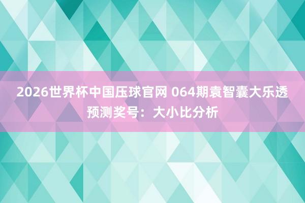 2026世界杯中国压球官网 064期袁智囊大乐透预测奖号：大小比分析