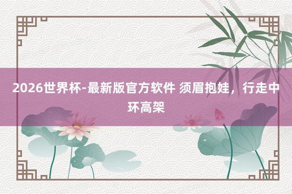 2026世界杯-最新版官方软件 须眉抱娃，行走中环高架