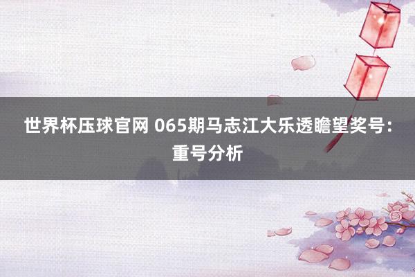 世界杯压球官网 065期马志江大乐透瞻望奖号：重号分析