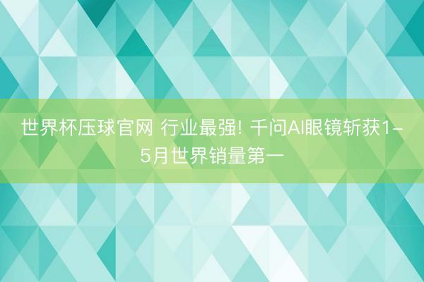世界杯压球官网 行业最强! 千问AI眼镜斩获1-5月世界销量第一